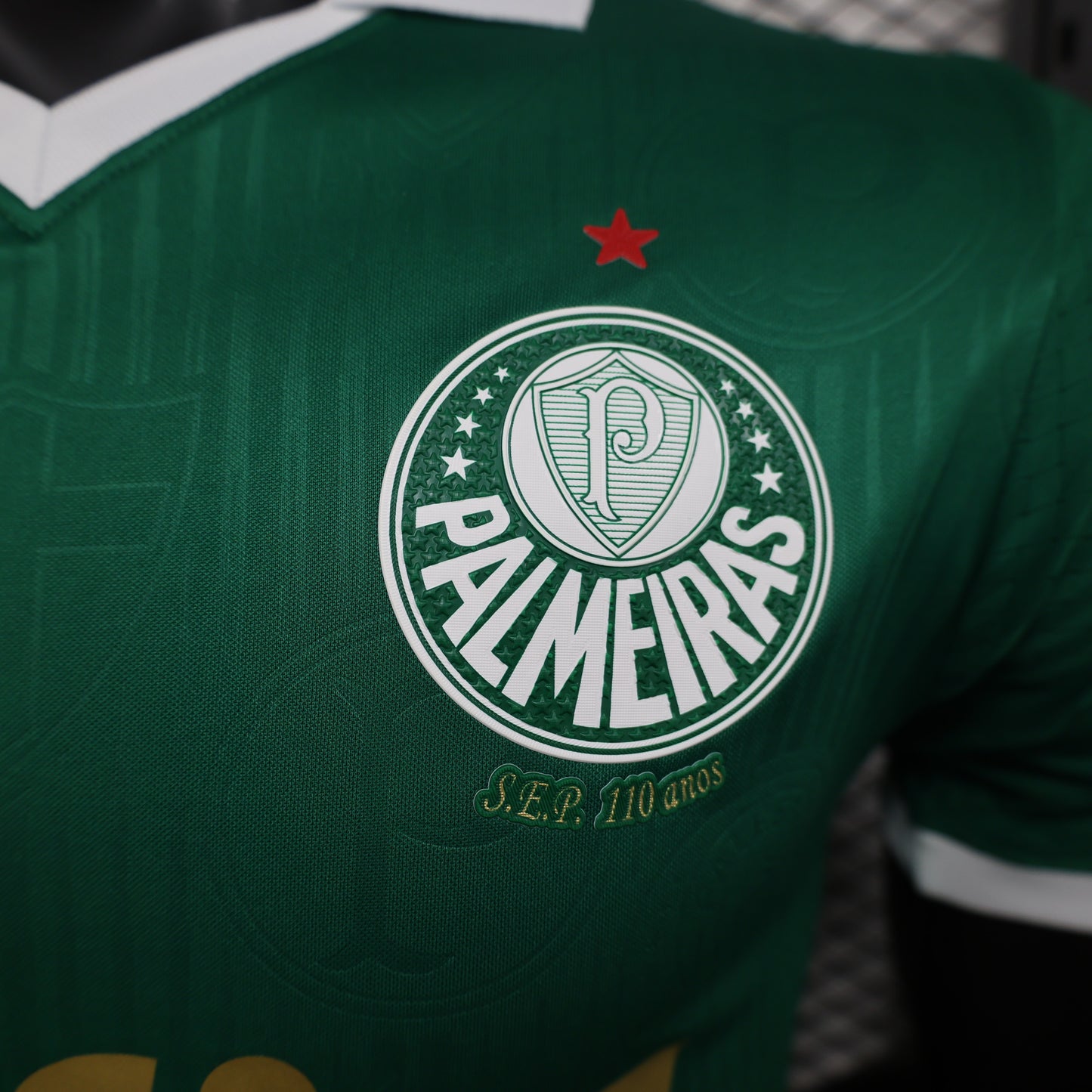 Palmeiras Home 24/25