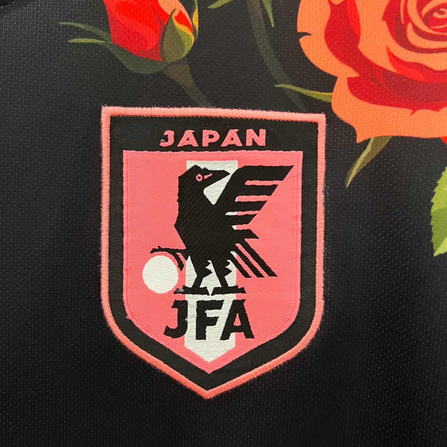 Japão Edição Especial 2024