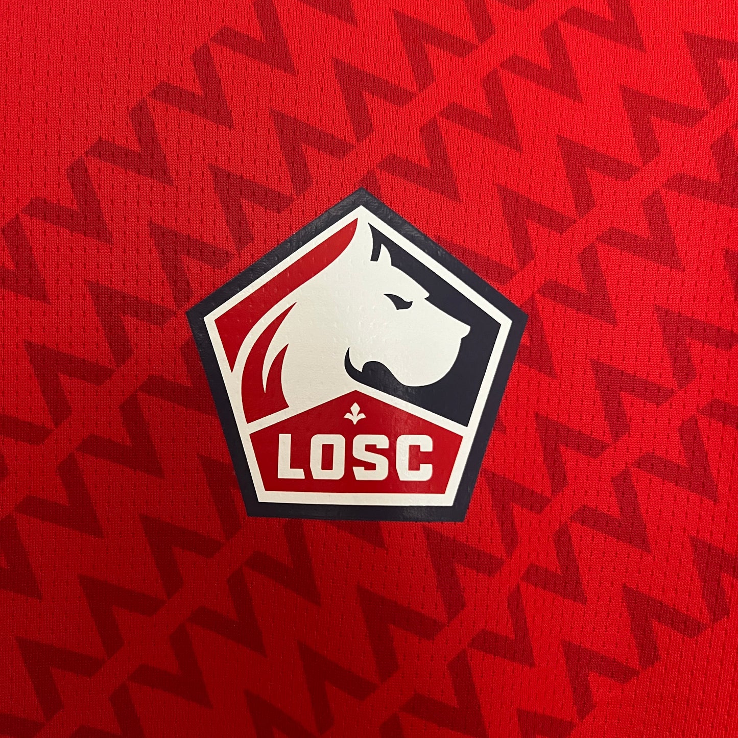 Losc Lille Home 24/25