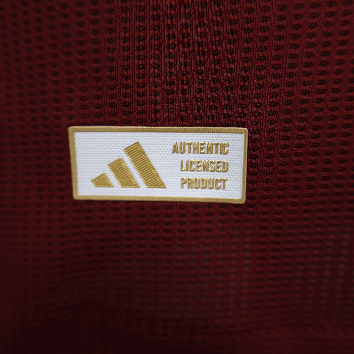 Aston Villa Home 24/25