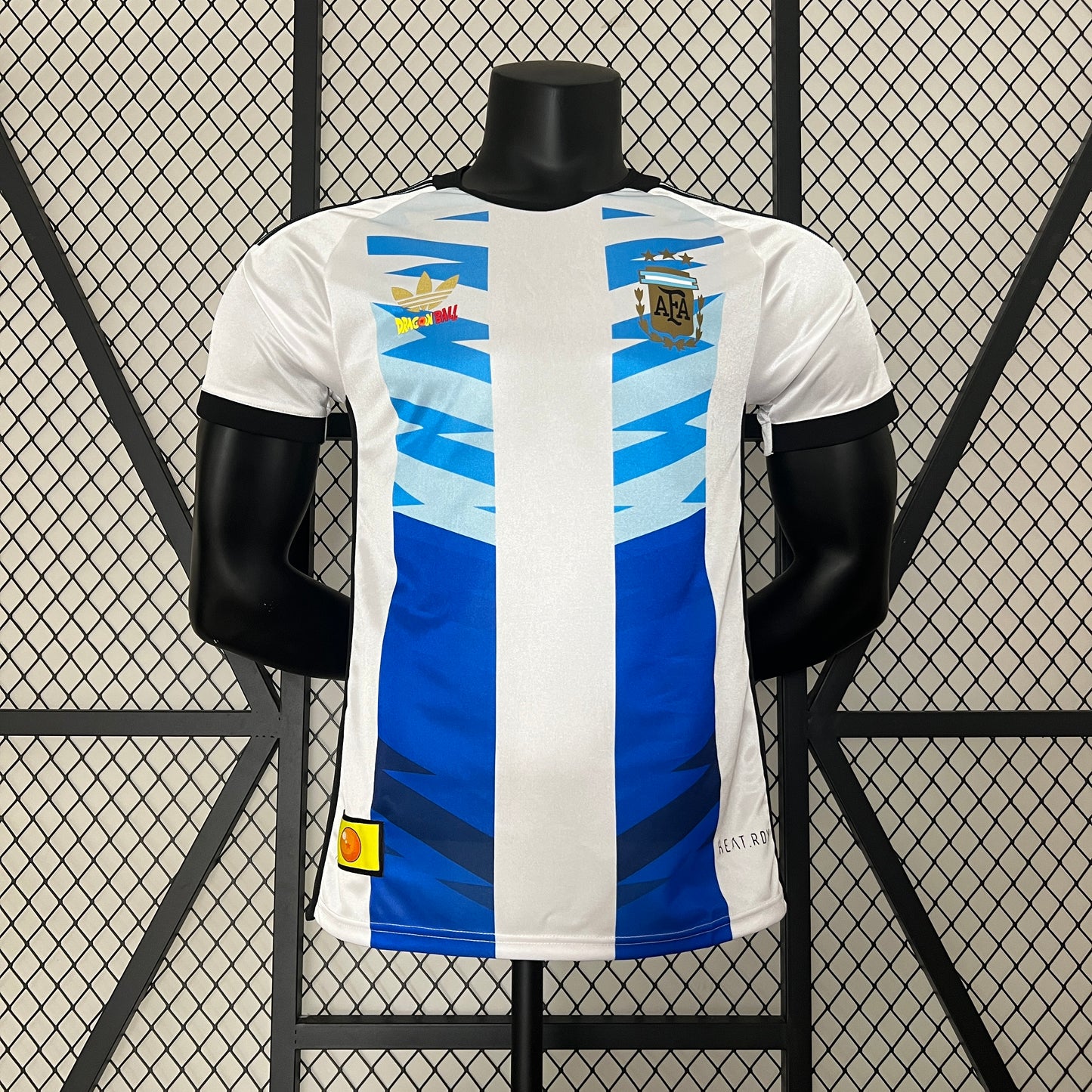 Argentina Special Edition 2024 | Player Version