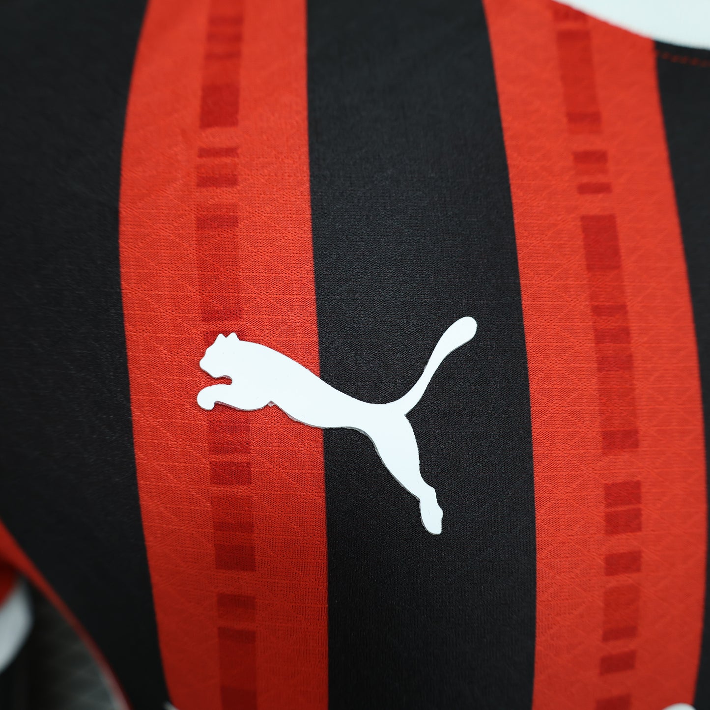 AC Milan Home 24/25