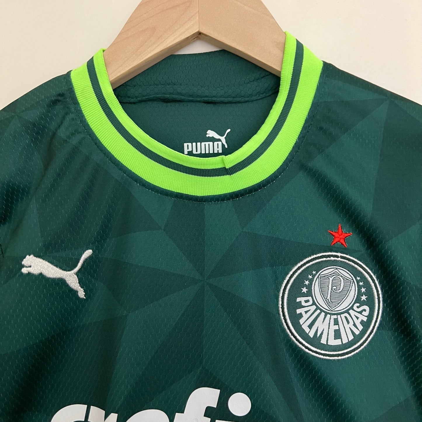 Palmeiras 23/24 Home