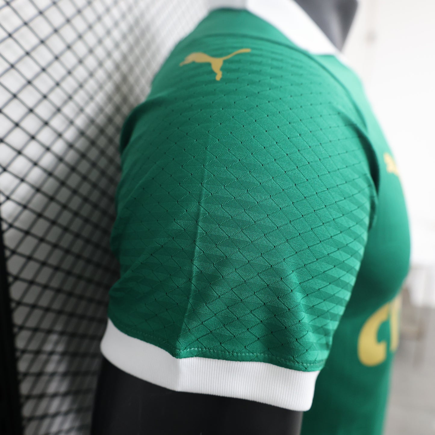 Palmeiras Home 24/25