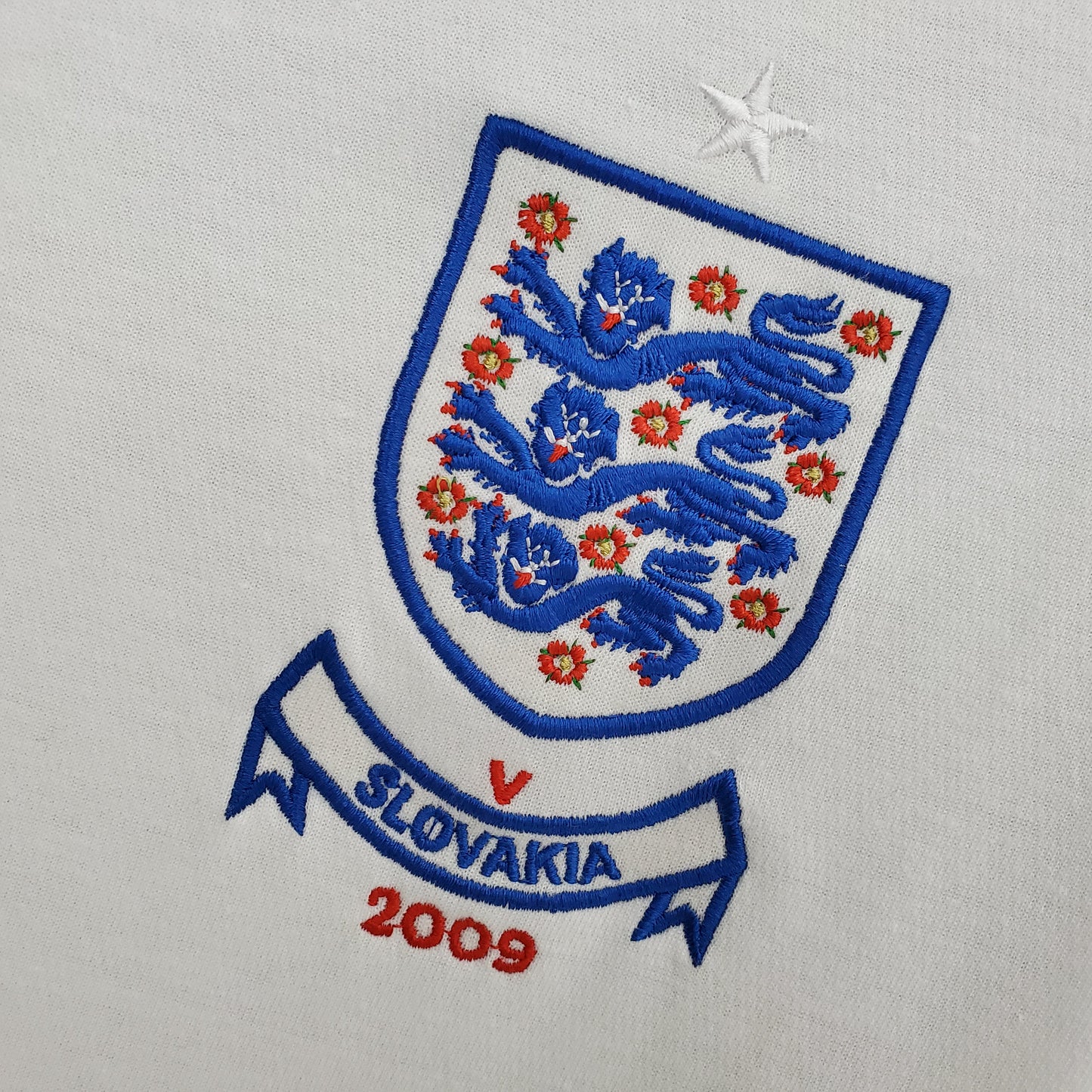England 2010 Home