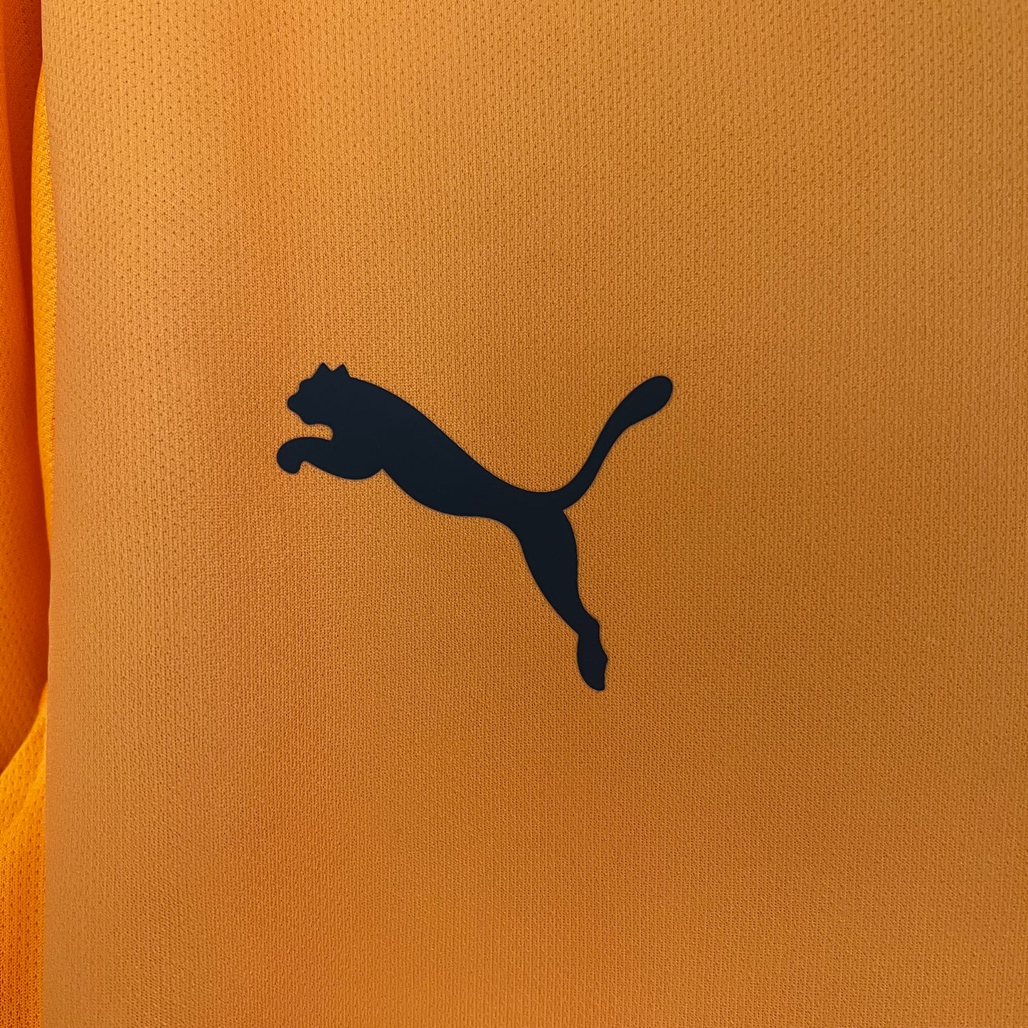 Galatasaray Home 24/25