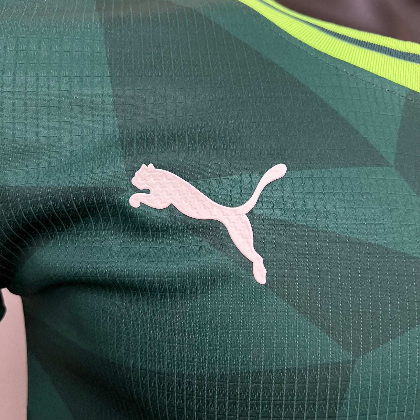 Palmeiras 23/24 Home