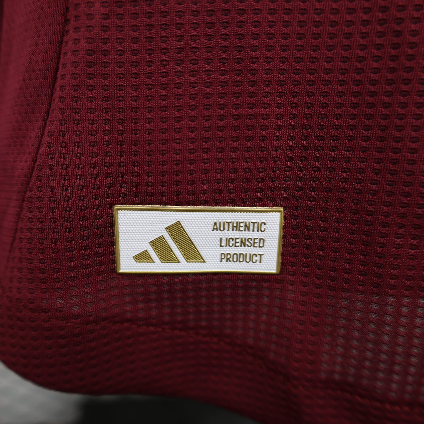 Aston Villa Home 24/25 Player Version