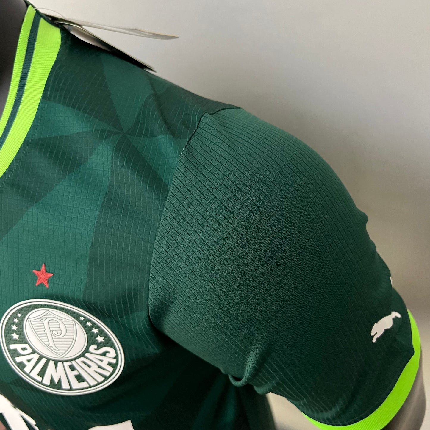 Palmeiras 23/24 Home