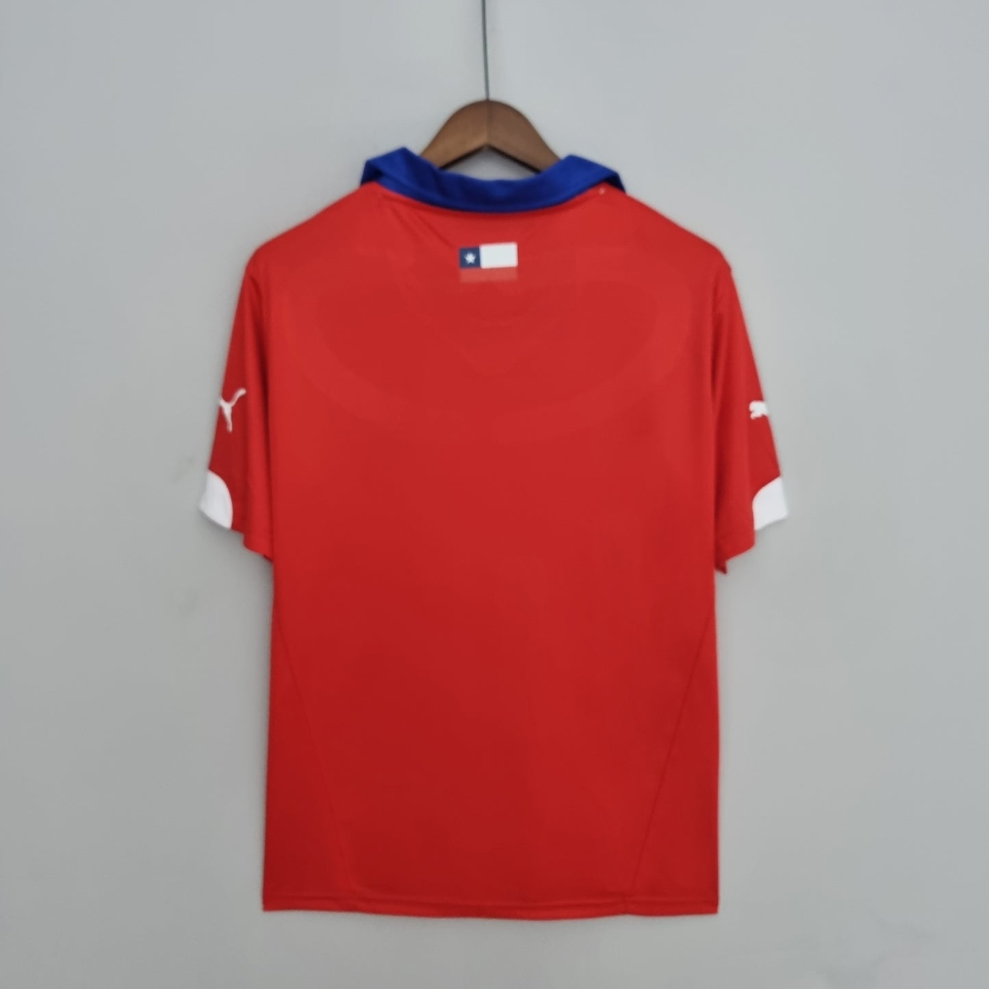 Chile 2014 Home