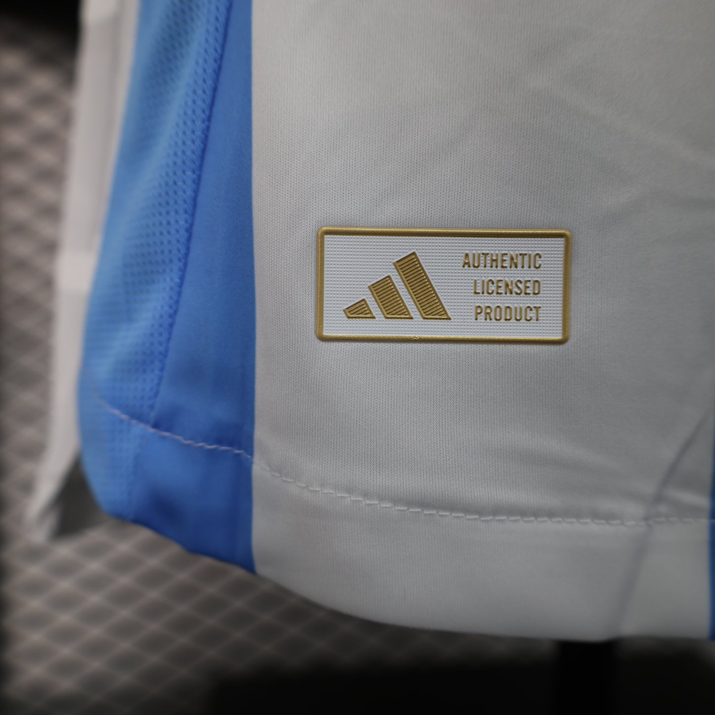Argentina Home 2024 | Player Version