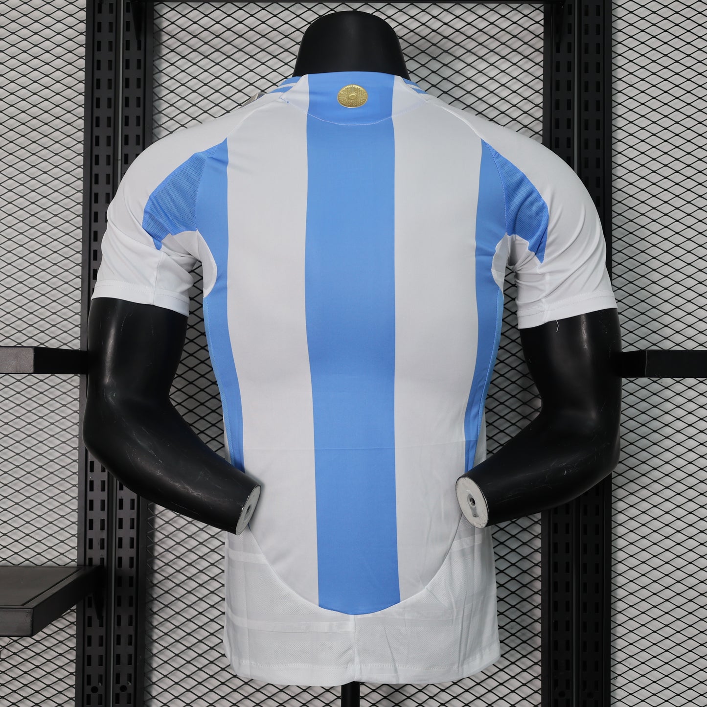 Argentina Home 2024 | Player Version