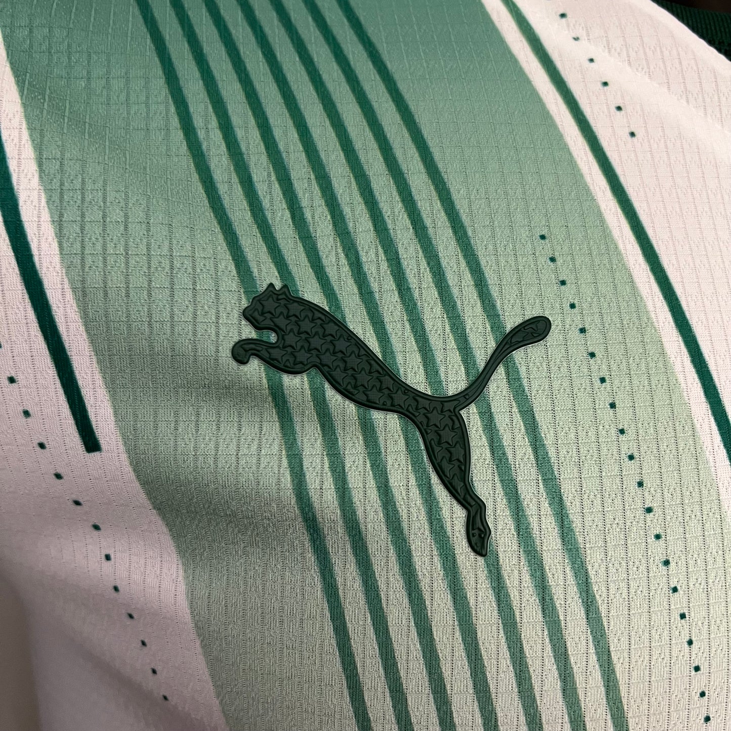 Palmeiras 23/24 Away