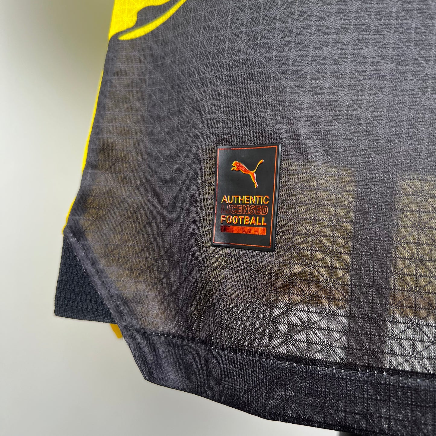 Dortmund 23/24 Home