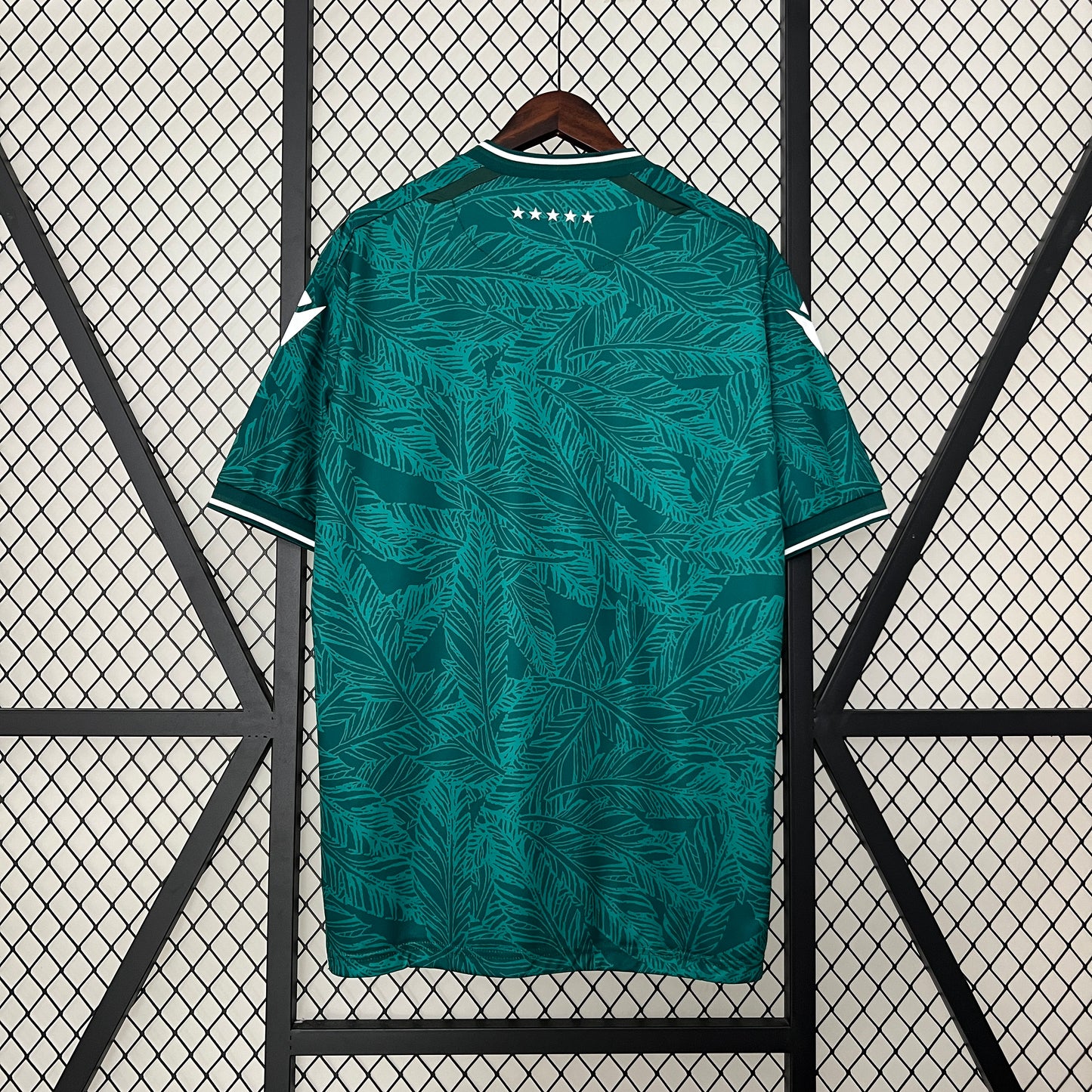 Santiago Wanderers Home 24/25