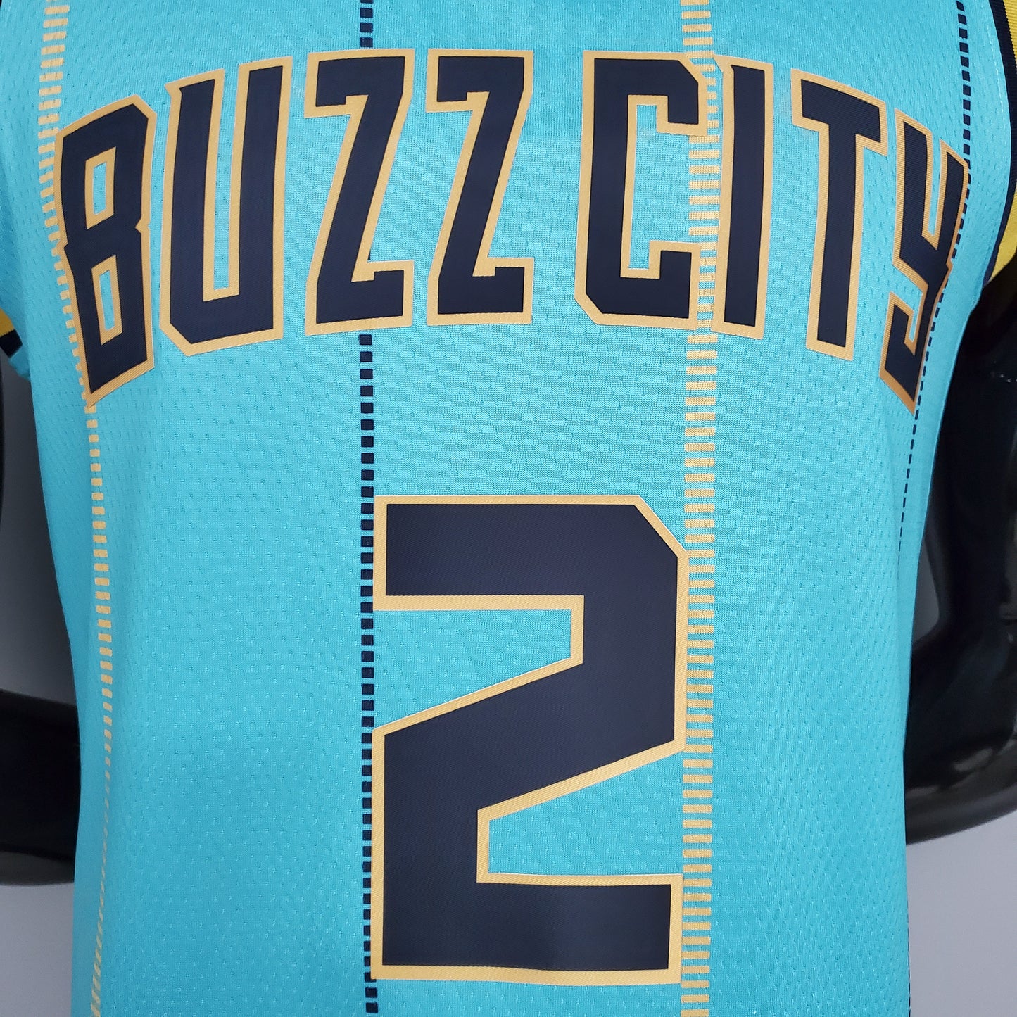 Charlotte Hornets Light Blue | Buzz City