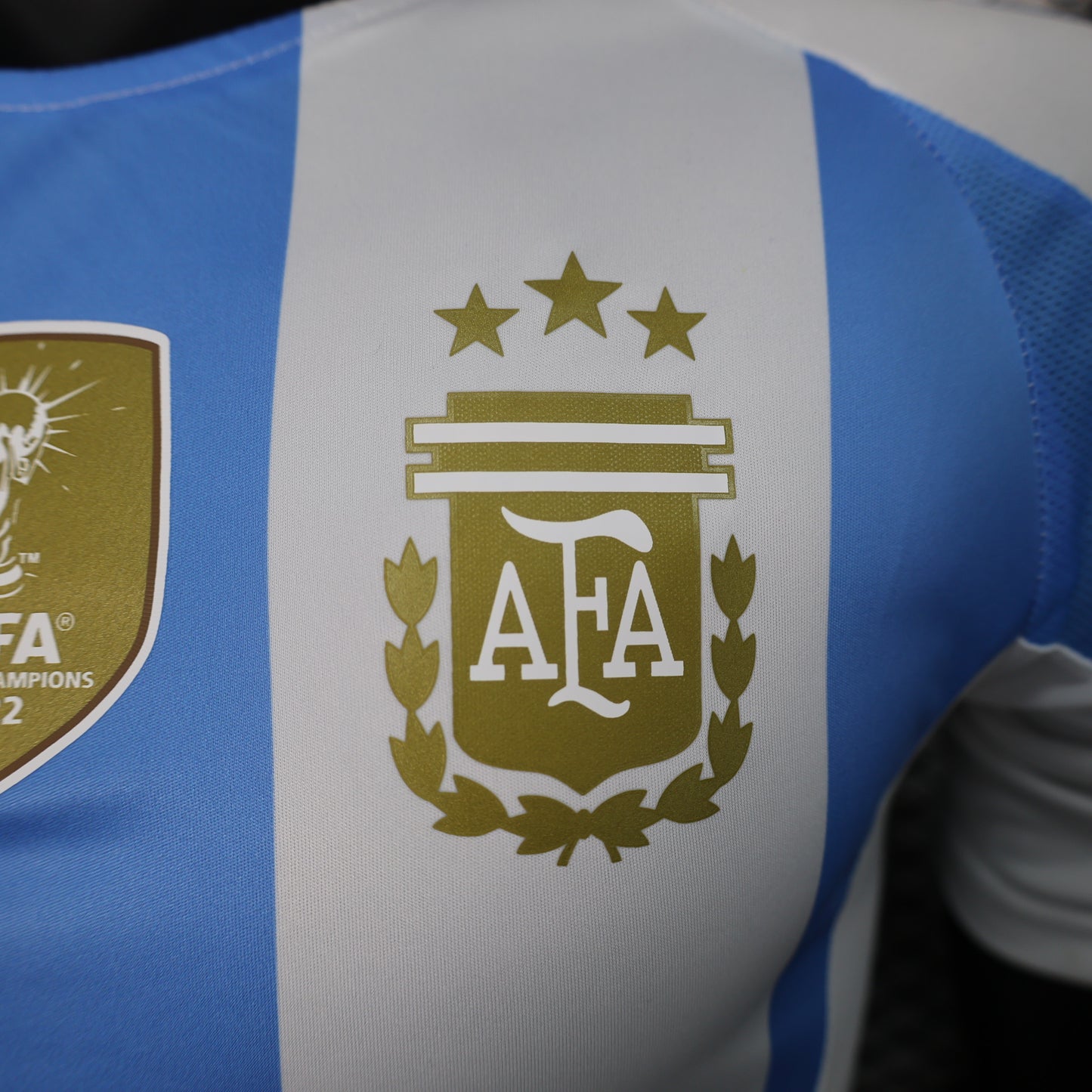 Argentina Home 2024 | Player Version