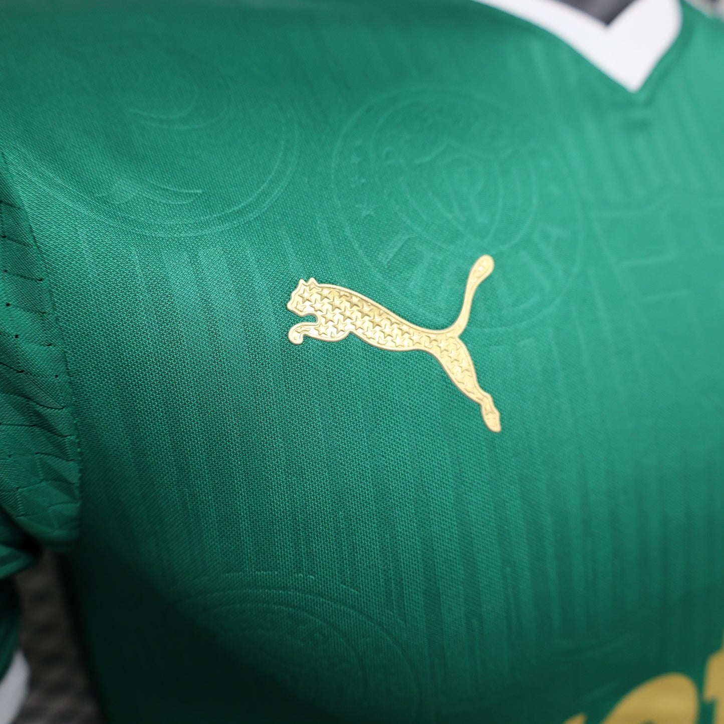 Palmeiras Home 24/25