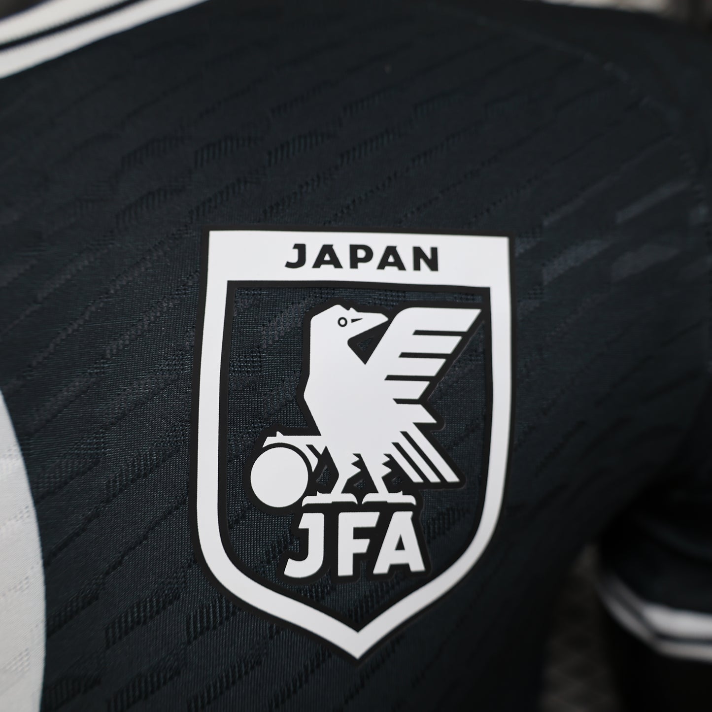 Japan Special Edition 2024