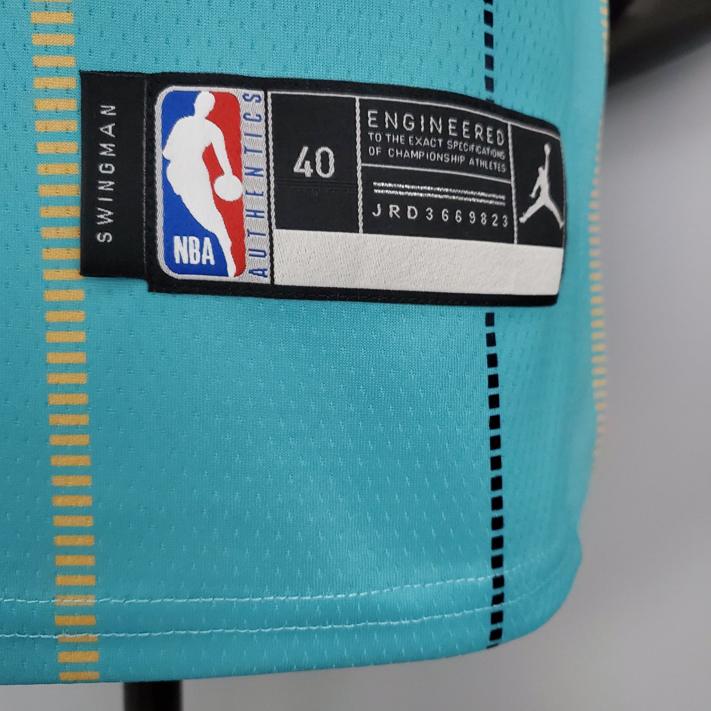 Charlotte Hornets Light Blue | Buzz City