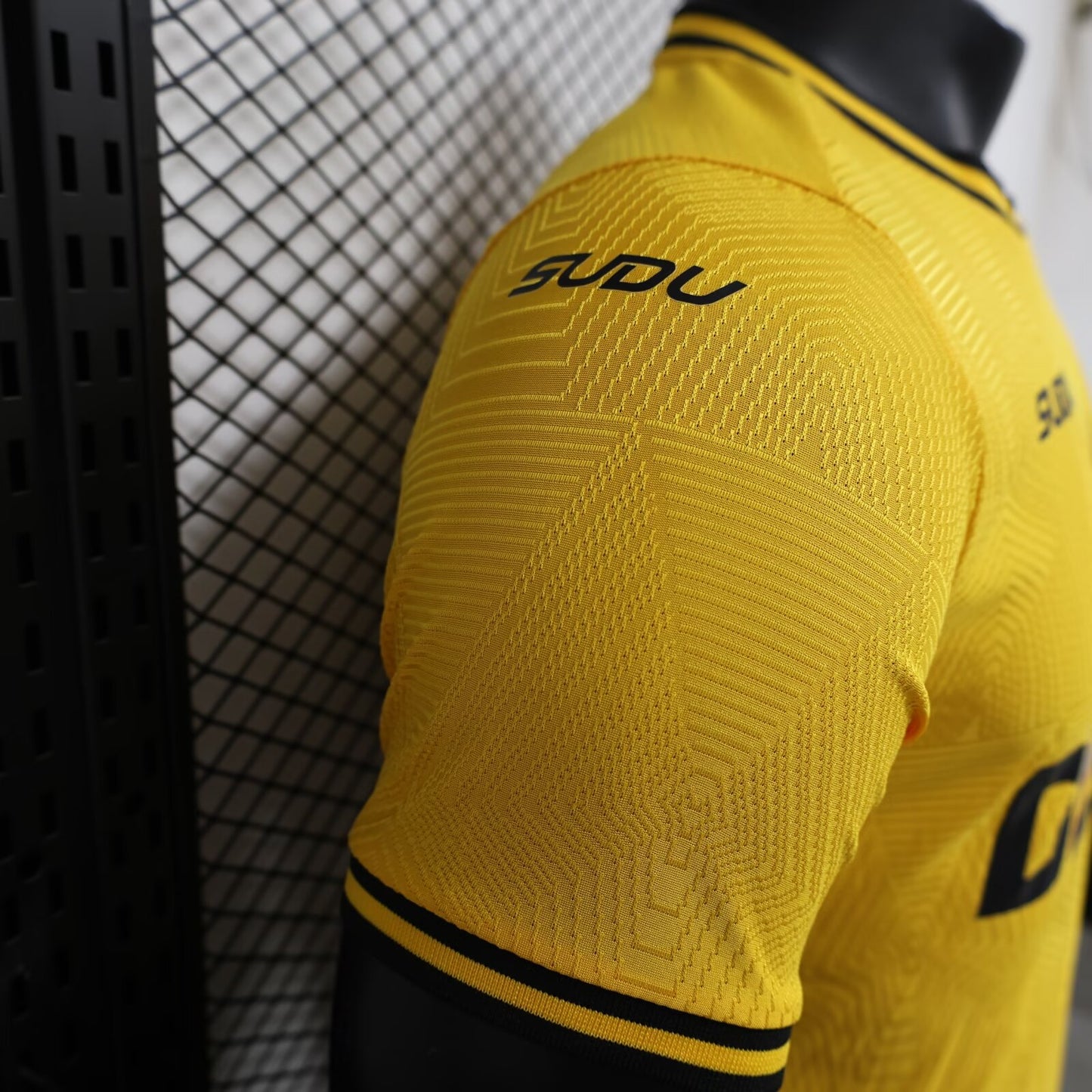 Wolves Home 24/25 Player Version