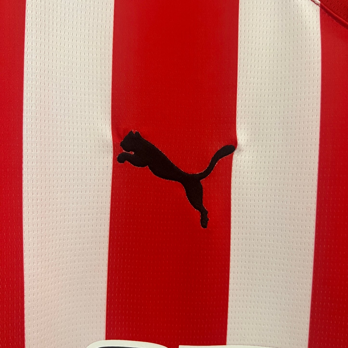Sporting Gijón Home 24/25