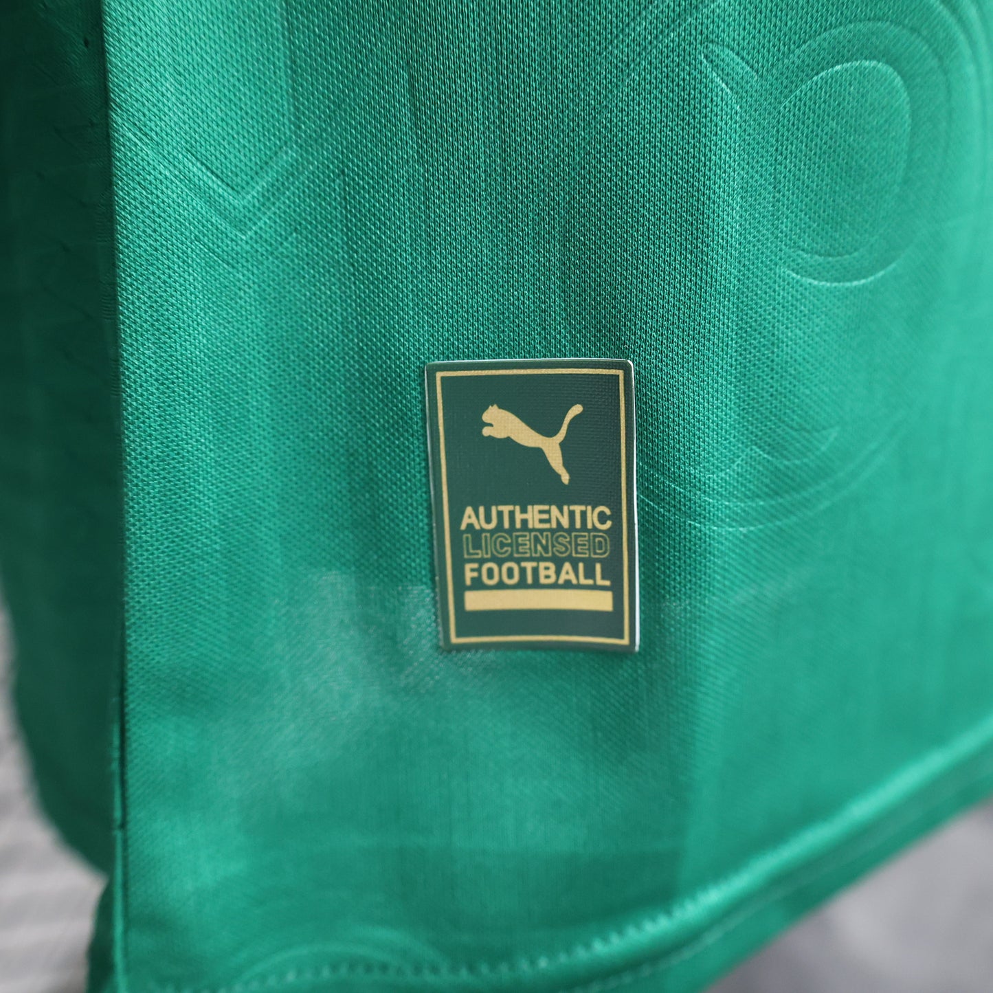 Palmeiras Home 24/25