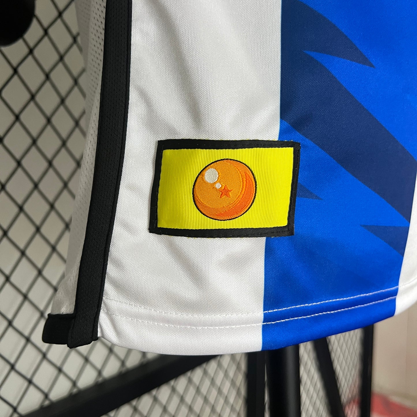 Argentina Special Edition 2024 | Player Version