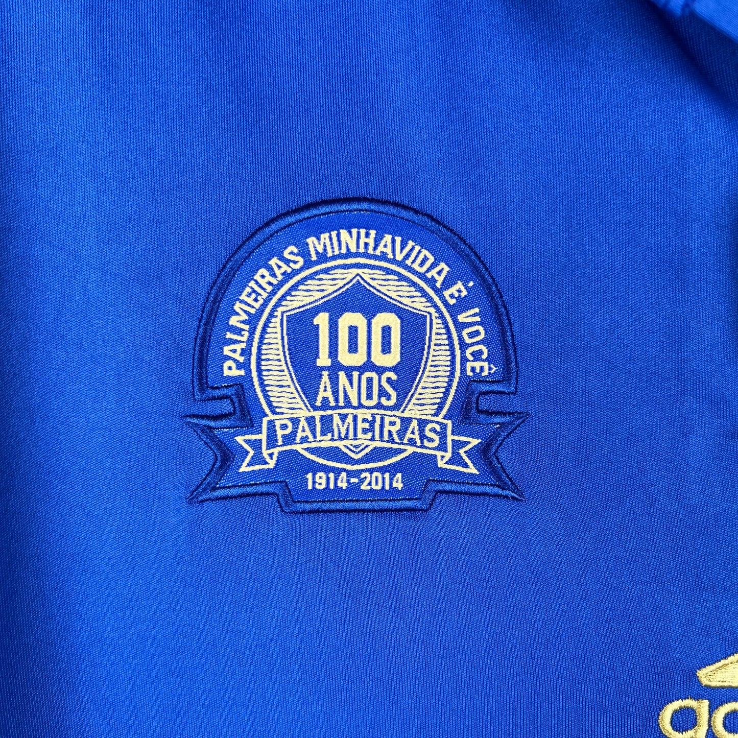 Palmeiras 14/15 Blue