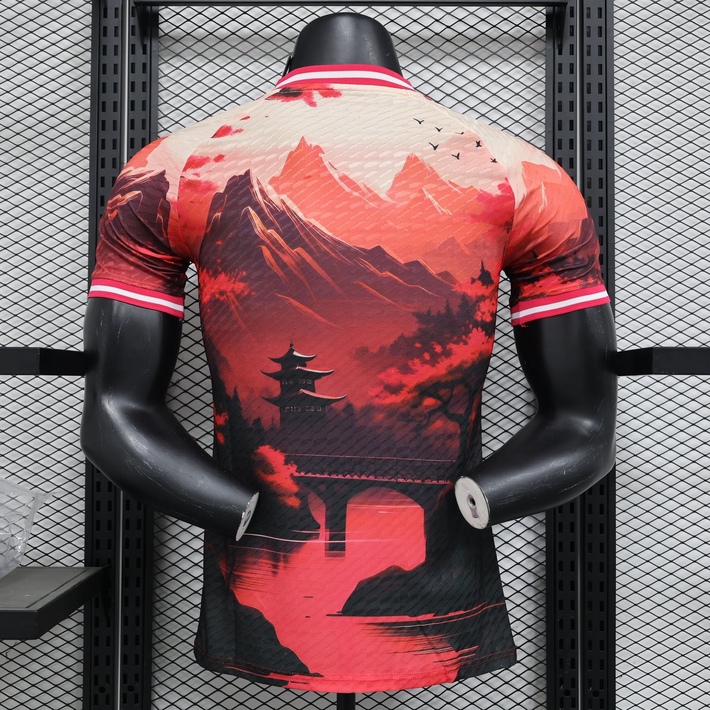 Japan Special Edition 2024 VII