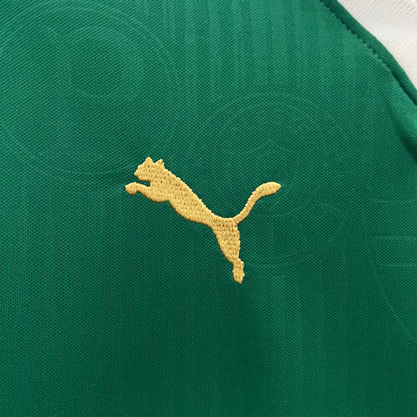 Palmeiras Home 24/25 Women