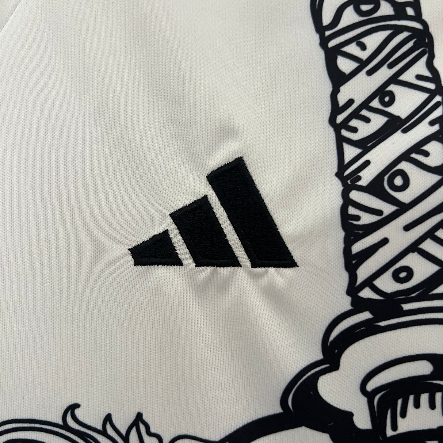 Japão Edição Especial 2024