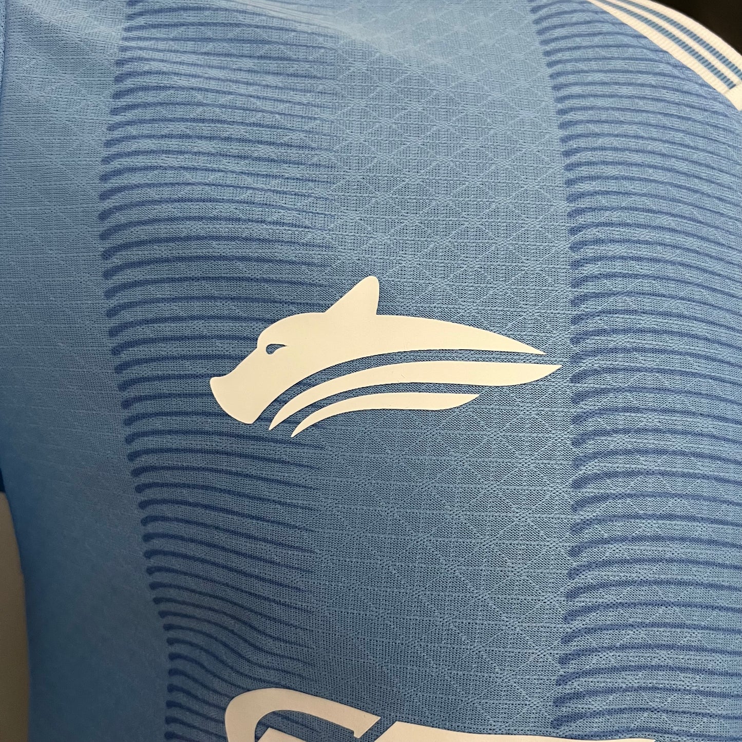 Manchester City 23/24 Home