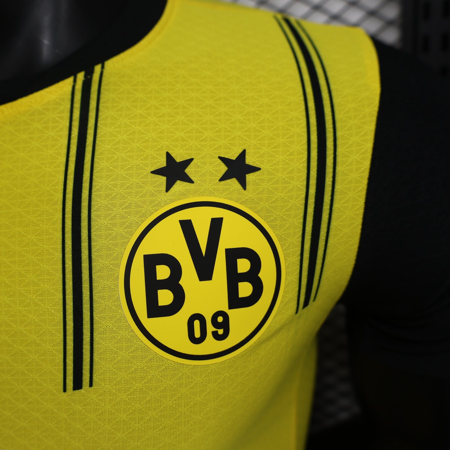 Dortmund Home 24/25