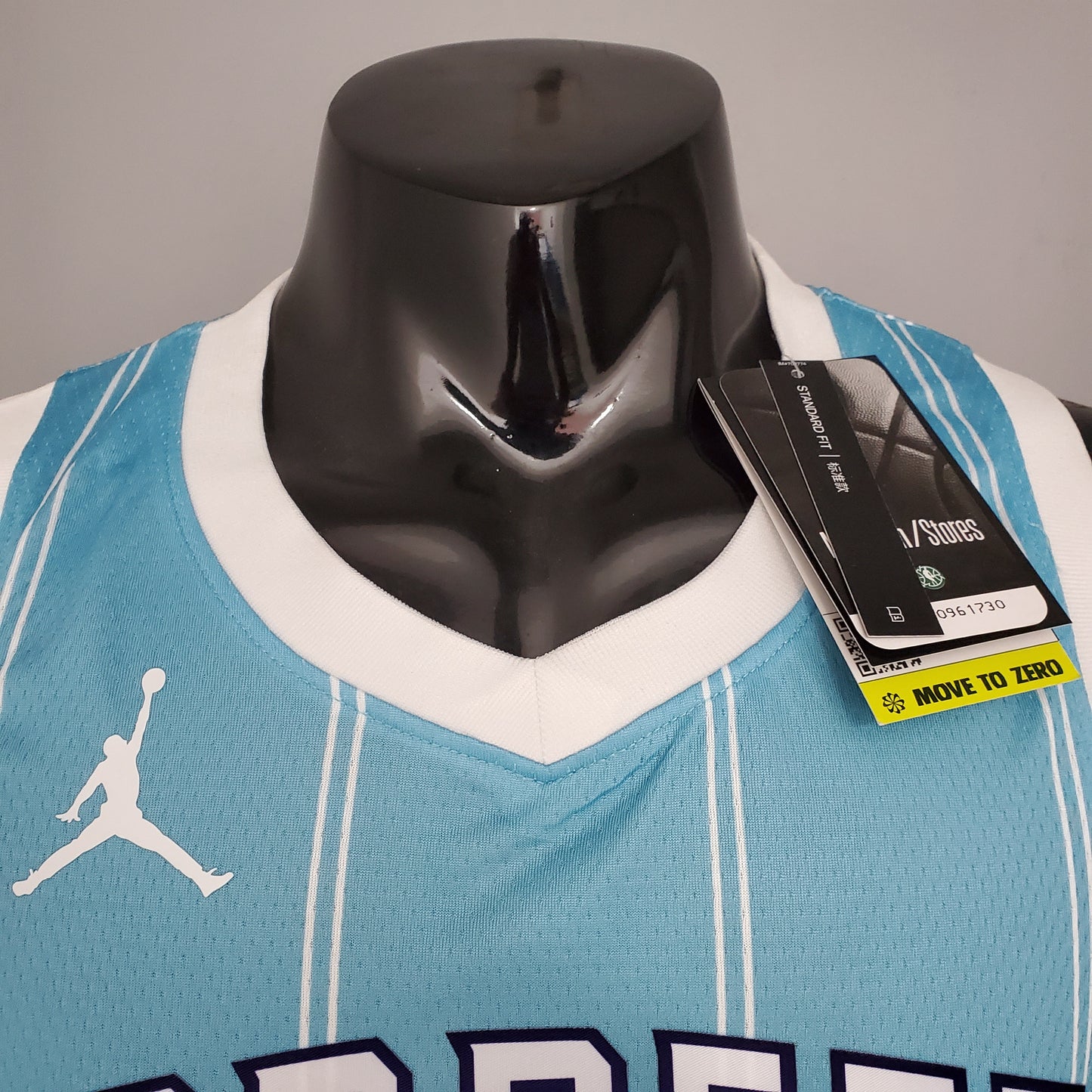 Charlotte Hornets Light Blue