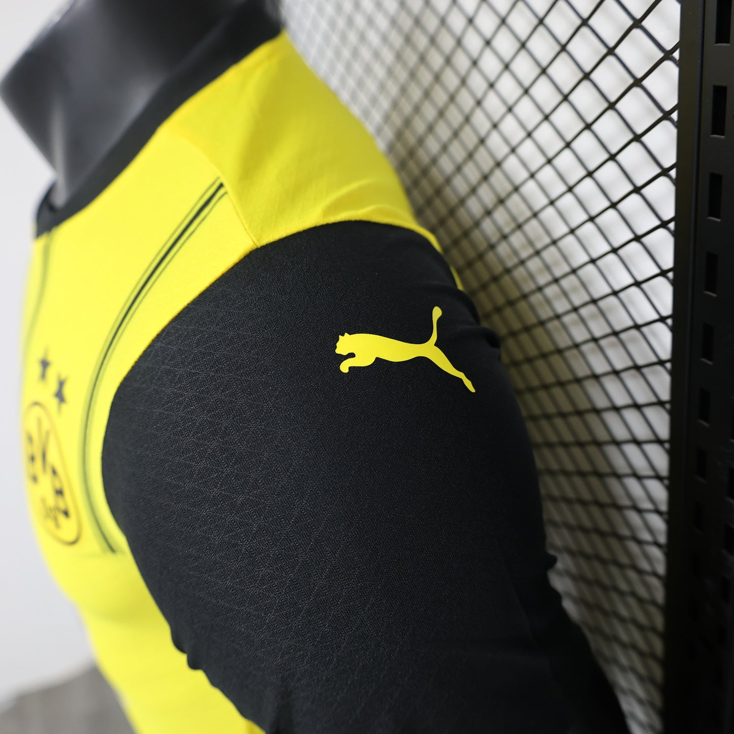 Dortmund Home 24/25