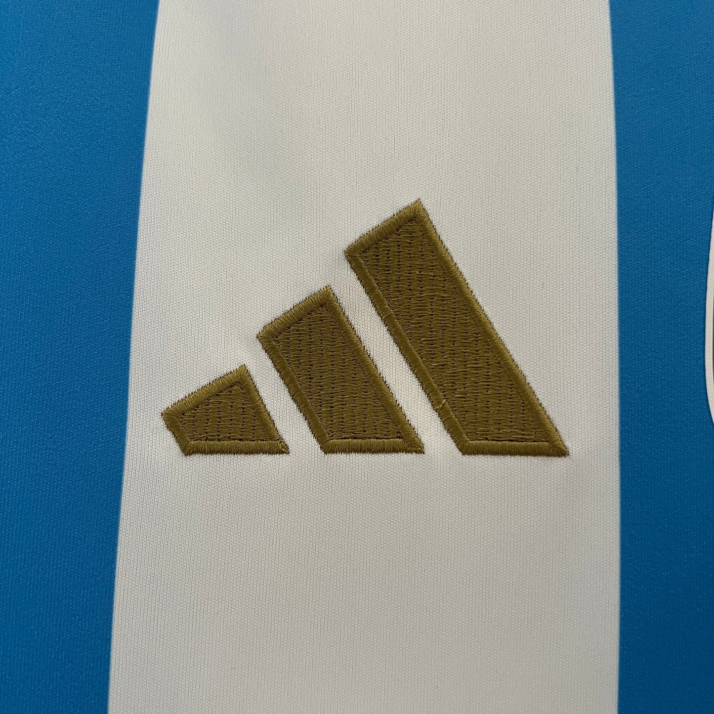 Argentina Home 2024