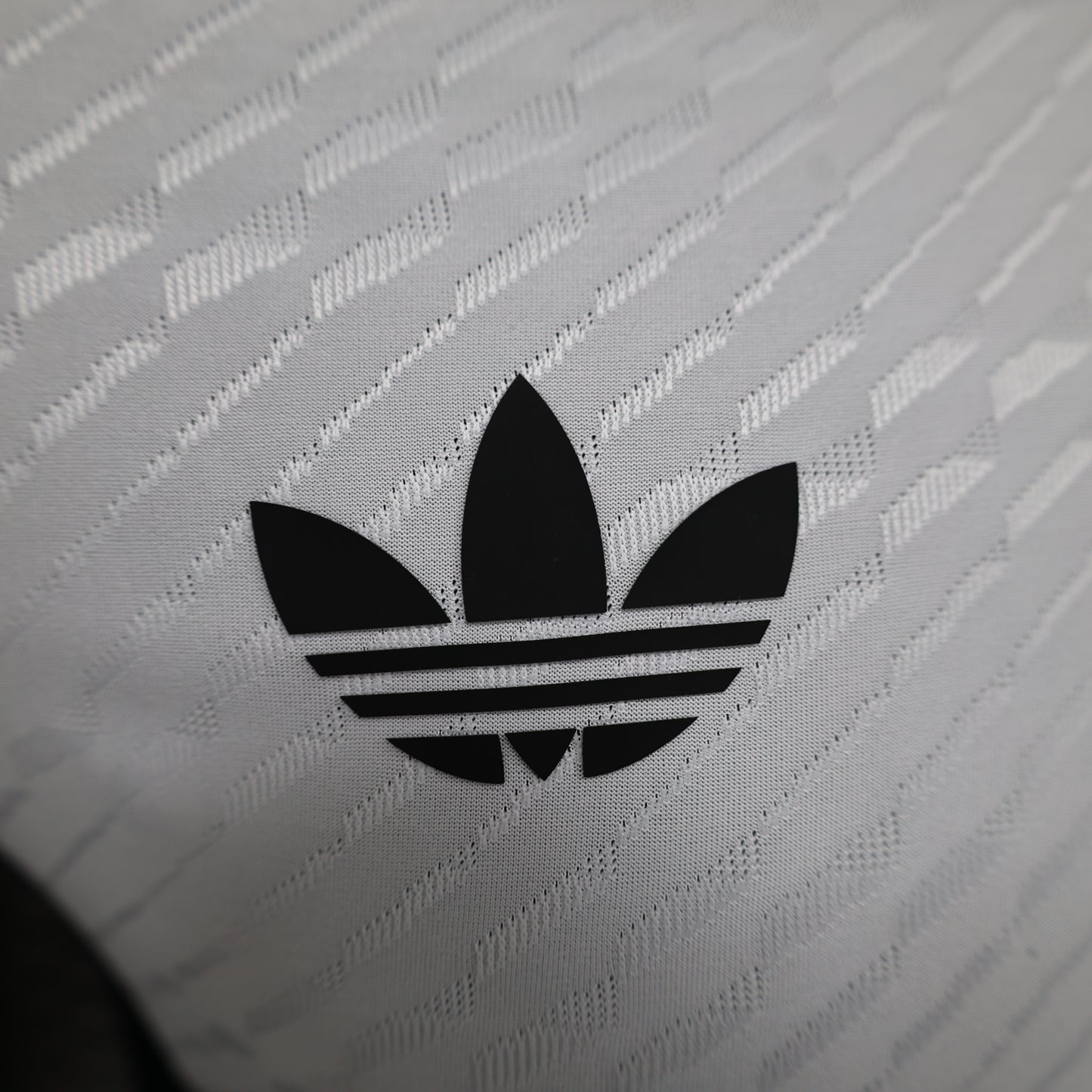 Japan Special Edition 2024