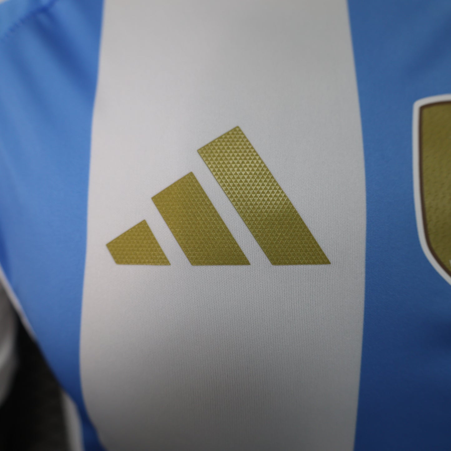 Argentina Home 2024 | Player Version