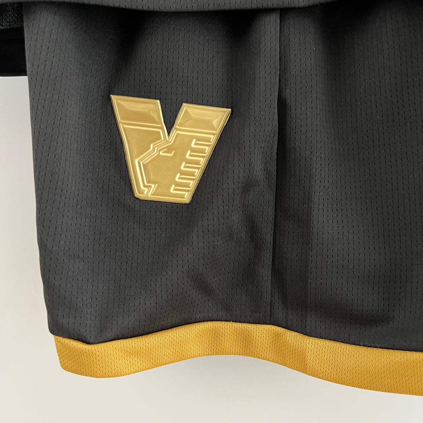 Venezia 23/24 Home