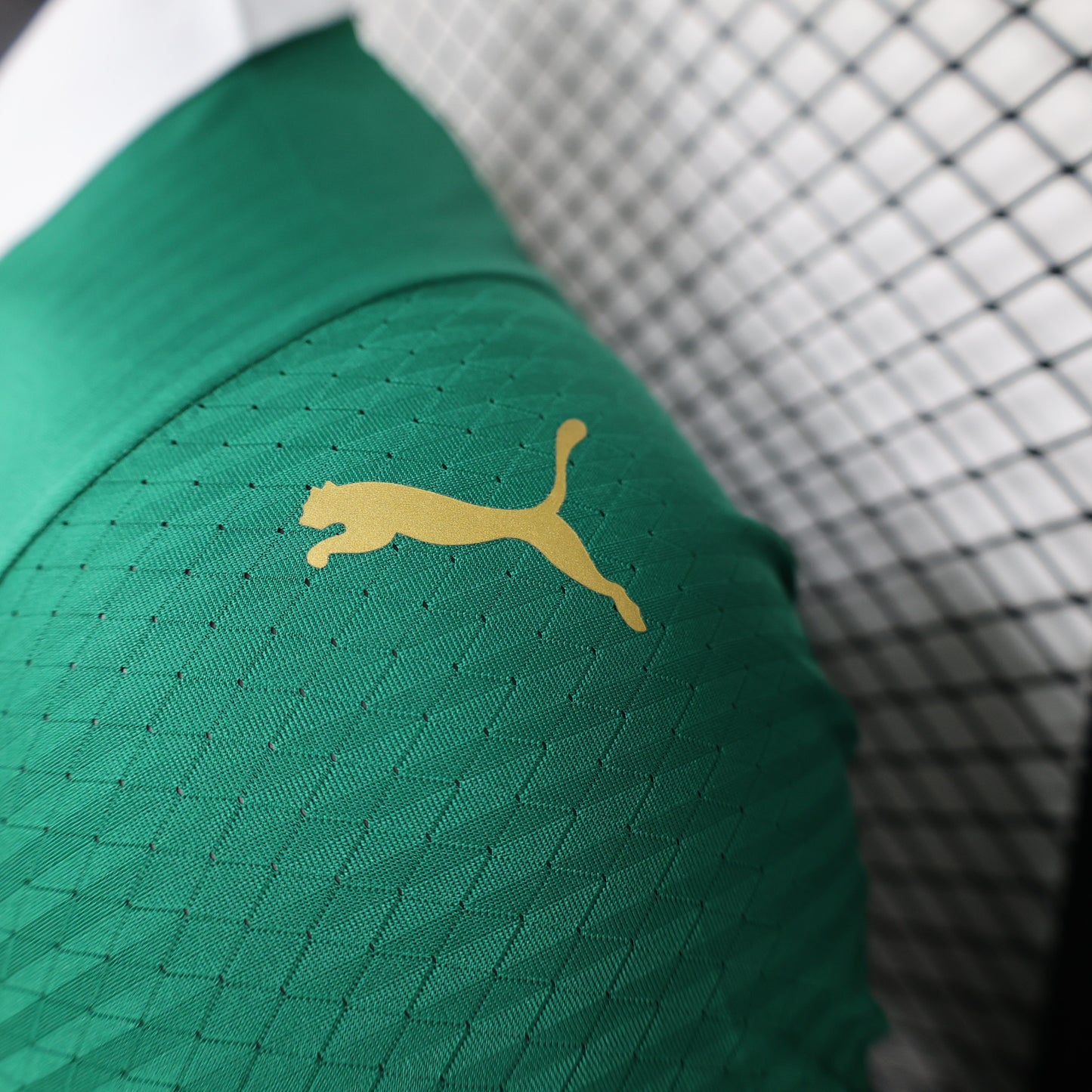 Palmeiras Home 24/25