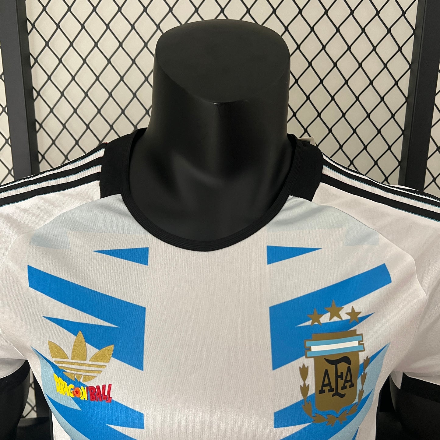 Argentina Special Edition 2024 | Player Version