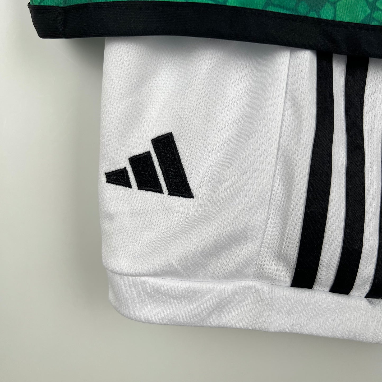 Celtic 23/24 Home