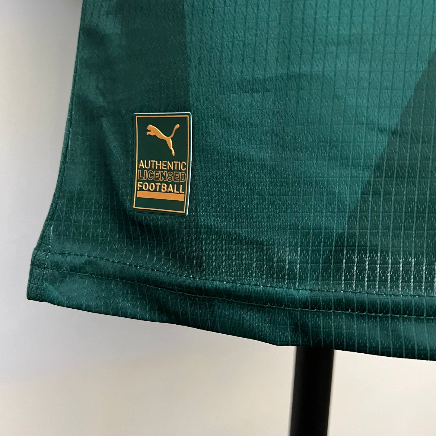 Palmeiras 23/24 Home