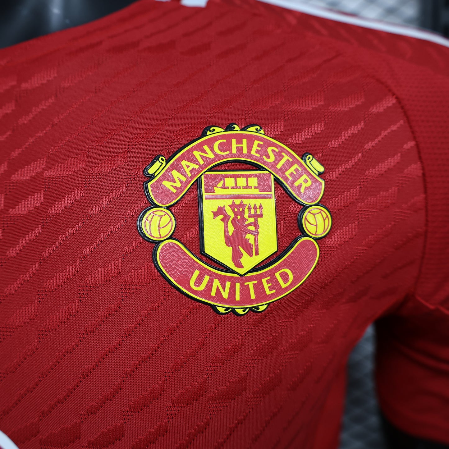 Manchester United Player 24/25