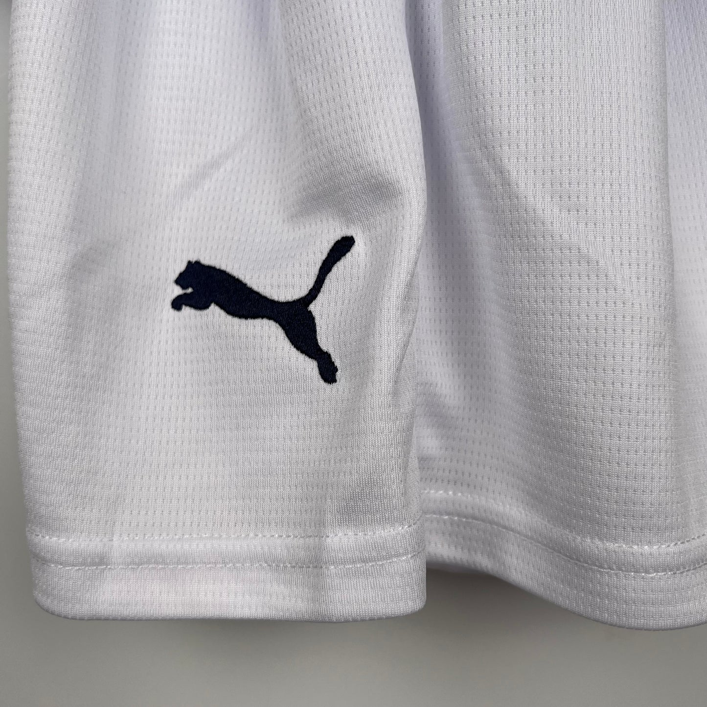 Manchester City 23/24 Home