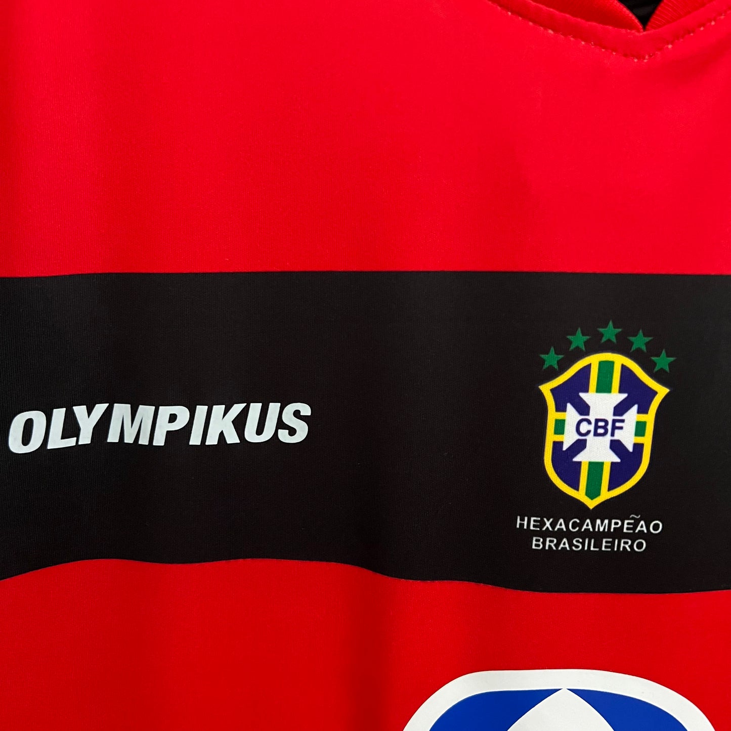 Flamengo 2010 Home