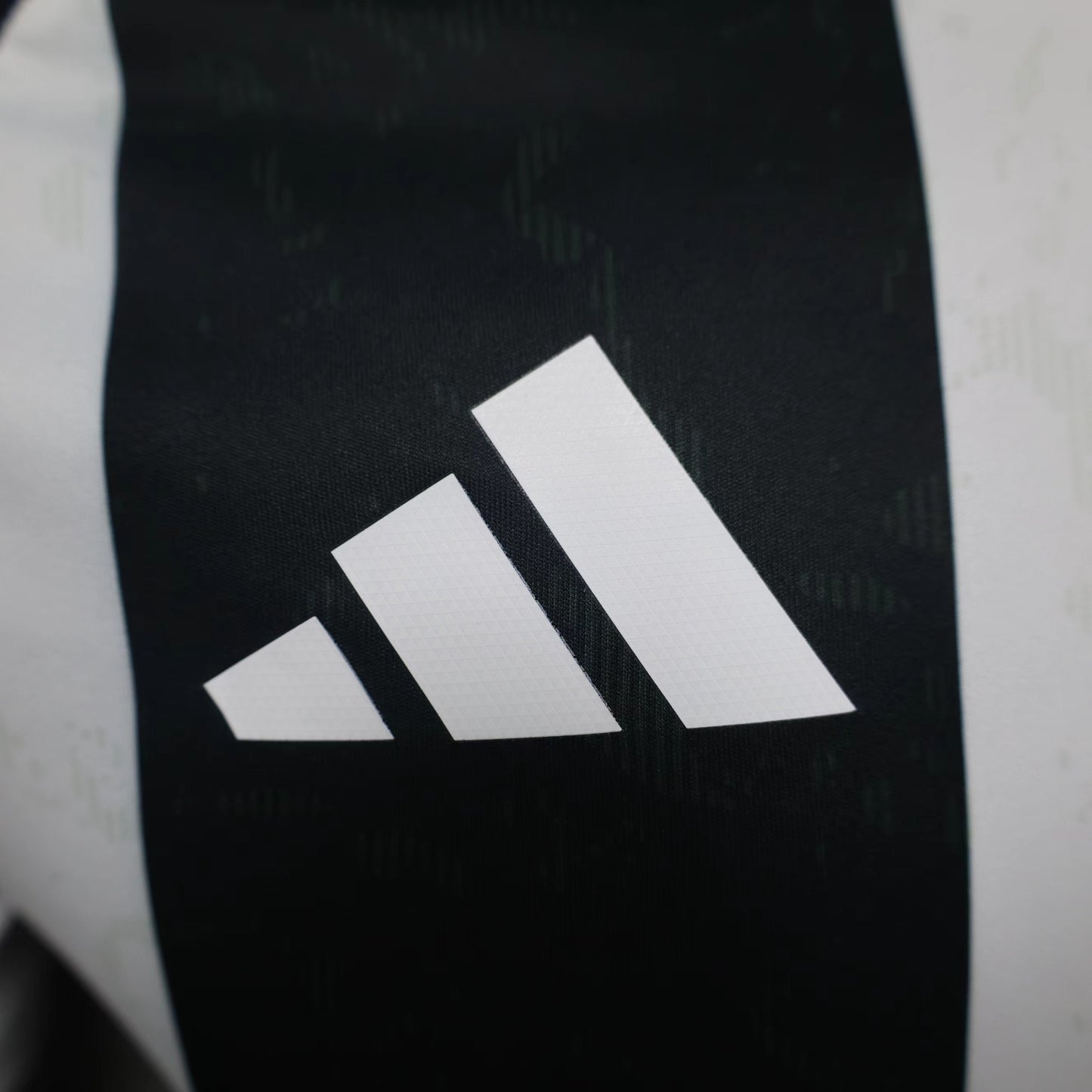 Juventus Home 24/25
