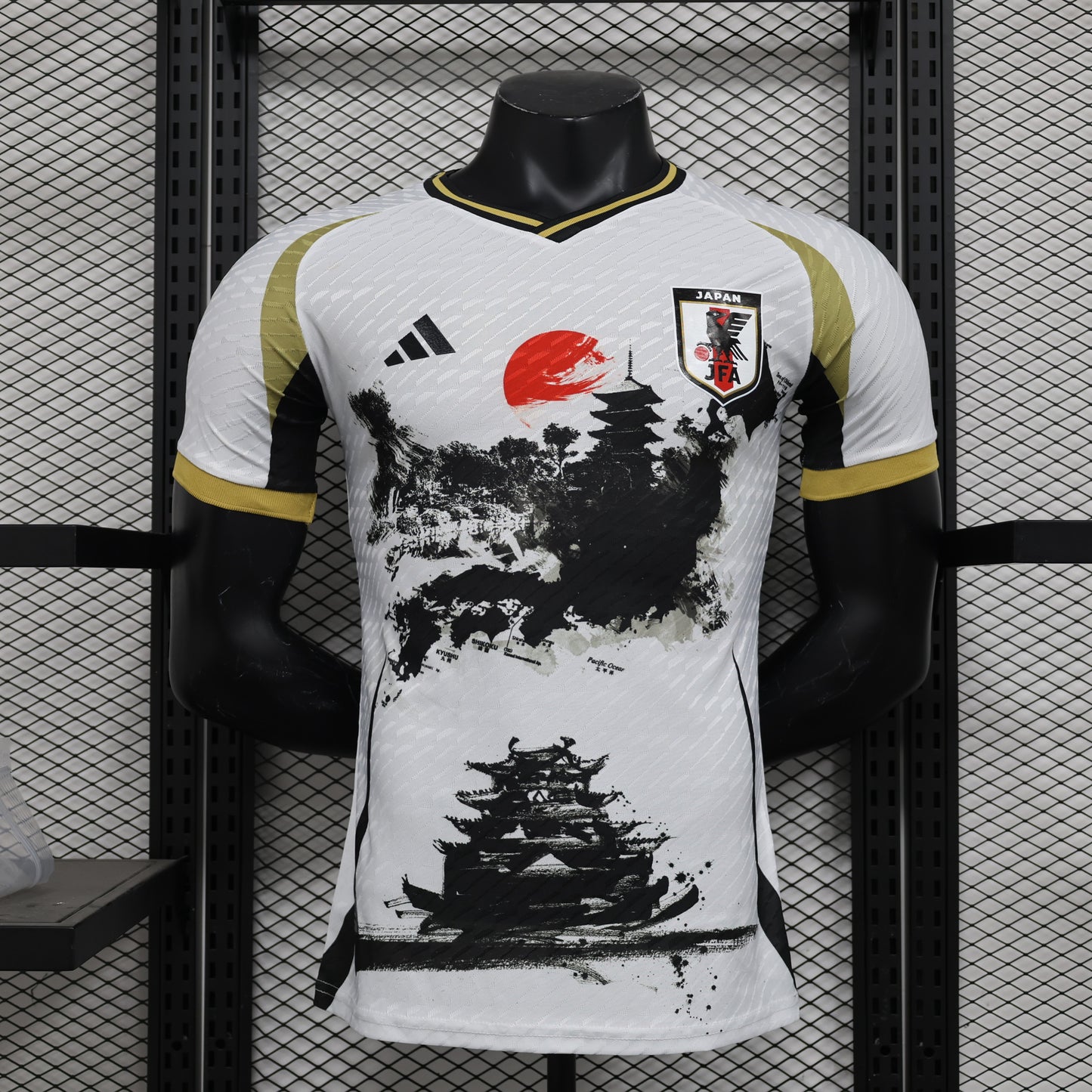 Japan Special Edition 2024 V