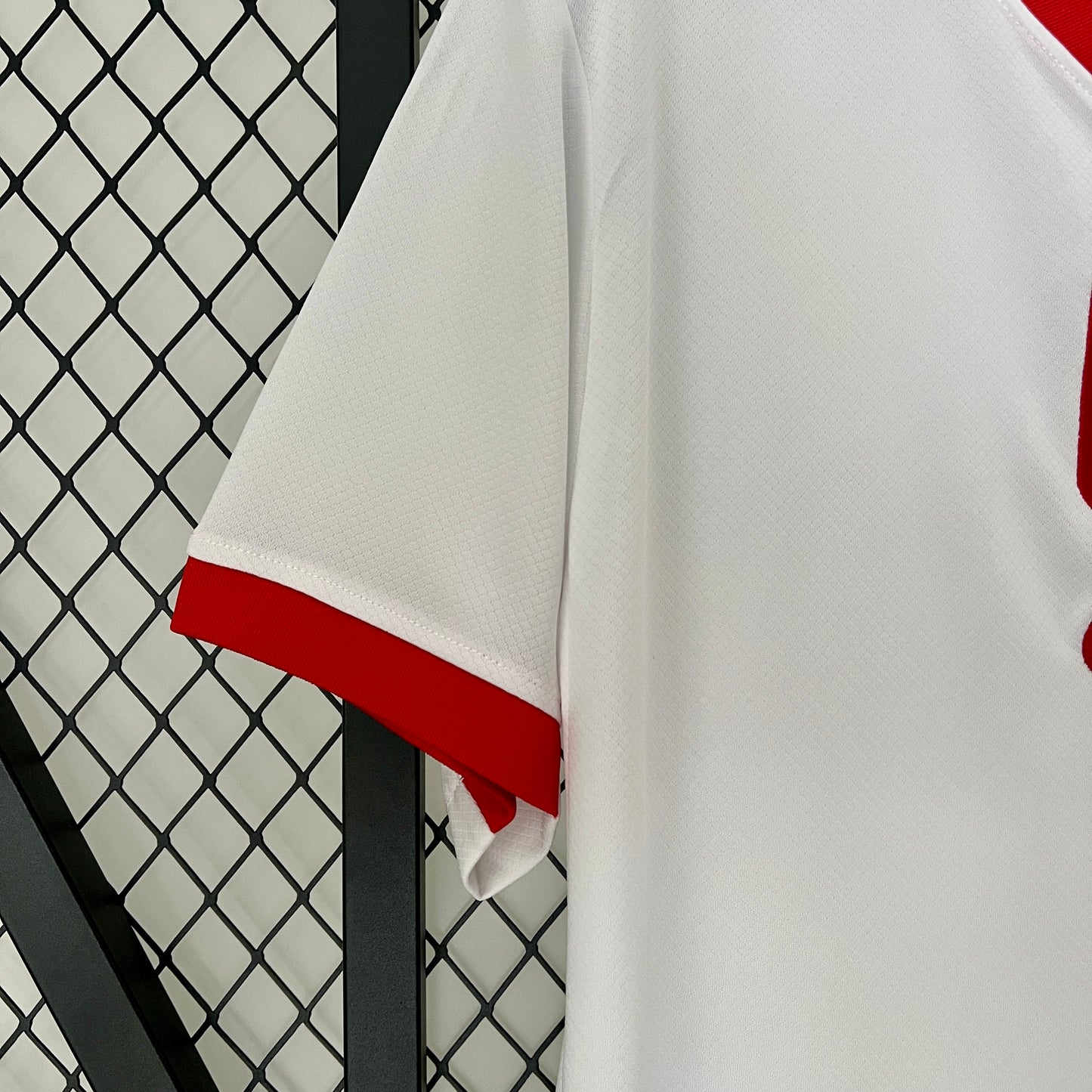 Polónia Home 2024